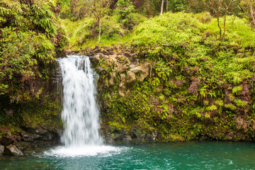Fototapeta na wymiar Scenic Waterfall Near Hana Maui
