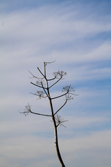A small seaside town Turgutreis