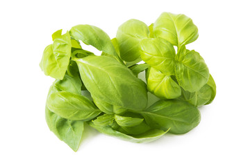 herbs and basil leaves isolated in white background