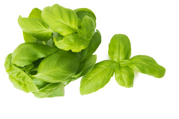 herbs and basil leaves isolated in white background