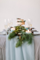 Beautiful decorated table with plates for guests, blue candles, pine decoration and flowers and wedding cake on the table in studio