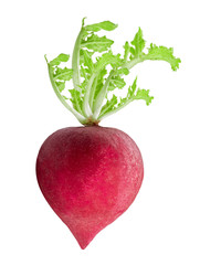 Red radish isolated on white background with clipping path