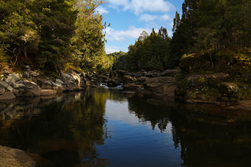 Fototapeta premium McLaren falls park, New Zealand