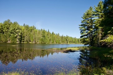 Obraz premium Hiking the beautiful Algonquin Provincial Park trails.