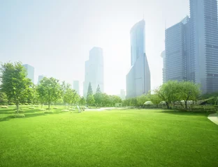 Fototapeten park in lujiazui financial center, Shanghai, China © Iakov Kalinin