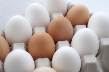 eggs