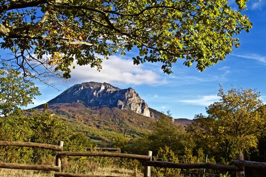 Hiking Around Bugarach in the South of France, Sunny Day, Under Tree