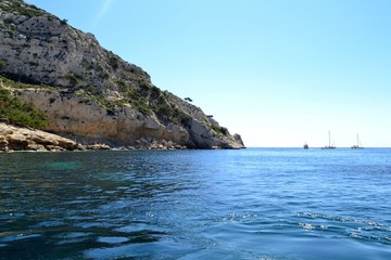 Fototapeta premium Cassis