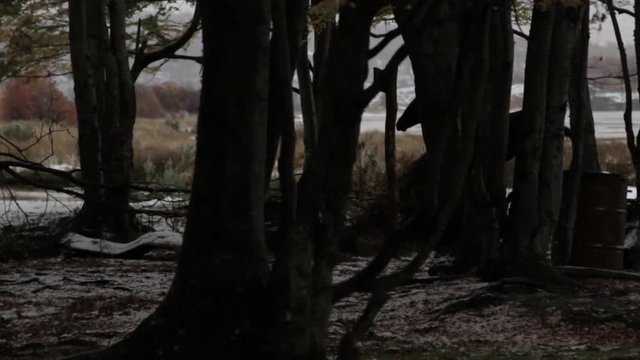 Ushuaia cavalo
