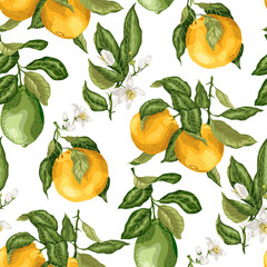 Fototapety  SEamless pattern summer citrus fruit branches of lime and orange tree with flowers in vector