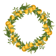 Vector illustration template wreath with citrus fruit tree branch with fruits and leaves