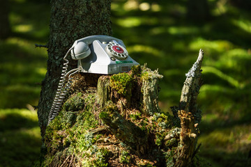 Phone