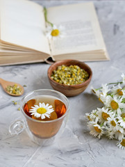 Cup of tea with chamomile flowers on gray background, book reading, free time concept
