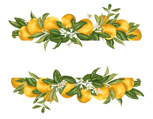 Lime template frame border wth citrus fruits and flowers on the branches