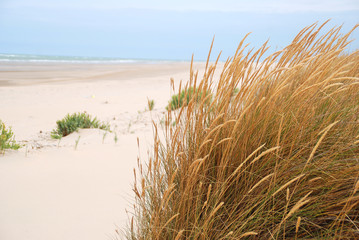 PAISAJE PLAYA EN SANLÚCAR DE BARRAMEDA. CÁDIZ, ANDALUCÍA, ESPAÑA