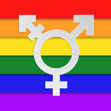 LGBT symbol flat vector icon.