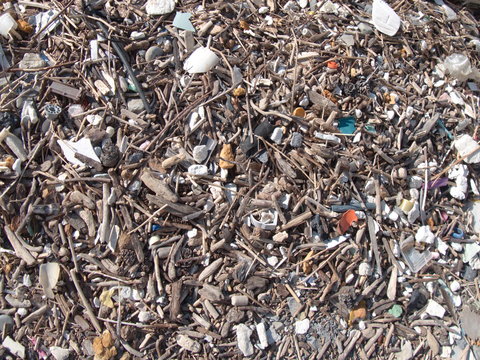 Garbage on the beach