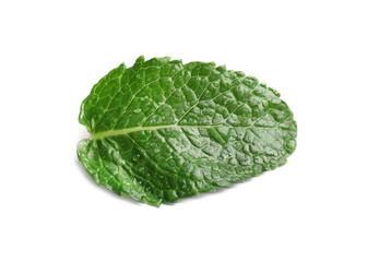 Fresh green mint leaf on white background