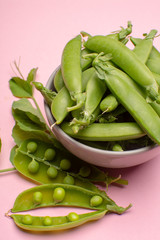 Fresh green ripe sugar snaps, sweet peas in bowl copy space close up on light pink background