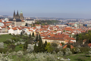 View on the spring Prague City with the green Nature and flowering Trees, Czech Republic