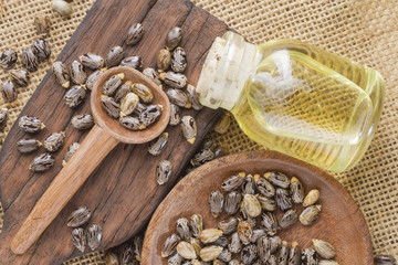 seeds and castor oil on the wooden table - Ricinus communis