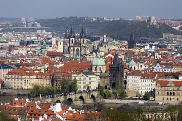 Obraz premium View on the spring Prague City with the green Nature and flowering Trees, Czech Republic