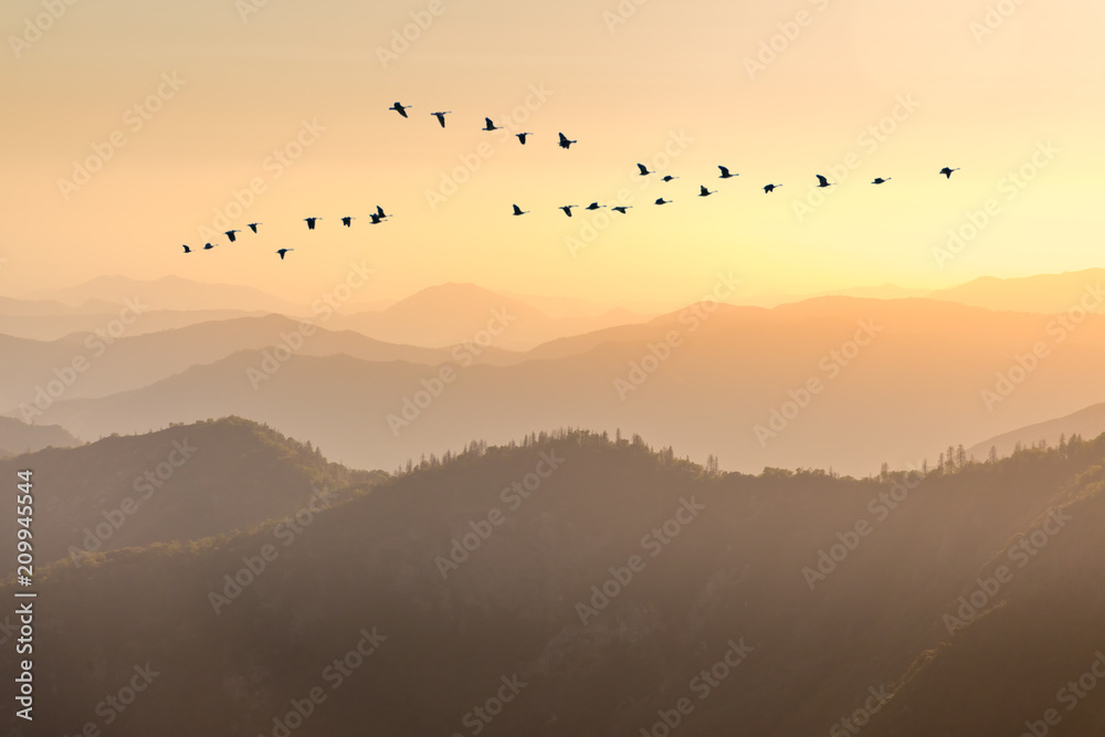 Wall mural scenic sunset view moro rock, sequoia national park