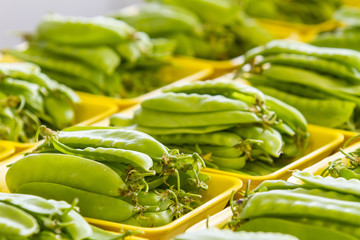 legumes manuseio