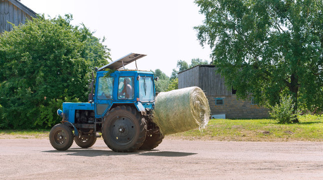 The tractor transports twisted sheaf hay. Straw rolls in the trailer of the agricultural machine.