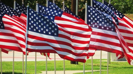 United States flags flying on summer day in a display of patriotism 