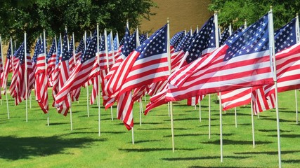 United States flags flying on summer day in a display of patriotism 
