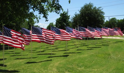 United States flags flying on summer day in a display of patriotism 
