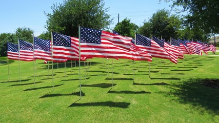United States flags flying on summer day in a display of patriotism 