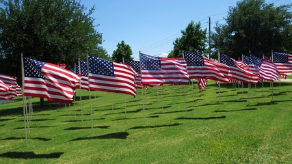 United States flags flying on summer day in a display of patriotism  