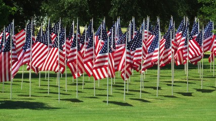 United States flag flying on a summer day in a display of patriotism