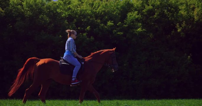Girl riding horse in the field against the background of the forest. Slow motion