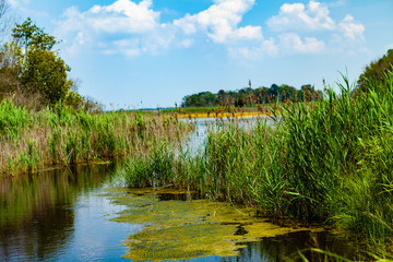 Delaware Marsh