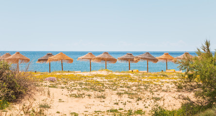 Traditional seaside algarve parasol in Vilamoura