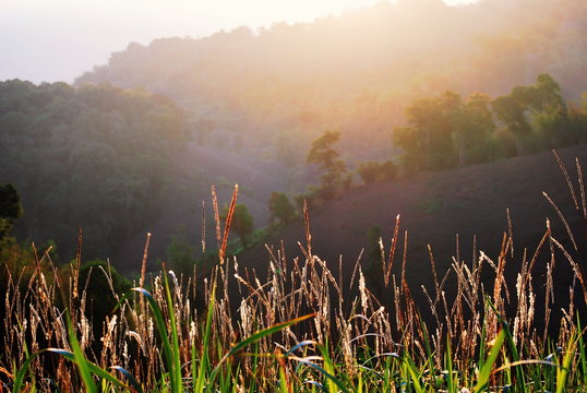 Mountain view, Landscape