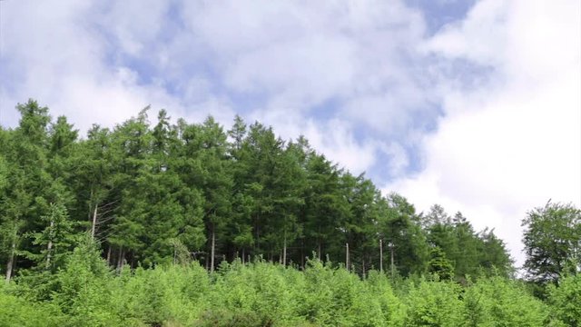 Beautiful forest mountains under blue sky in Biscay, Basque Country, Spain. On a sunny spring morning.