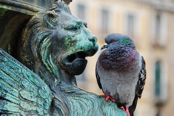 Pigeon and Statue Staredown
