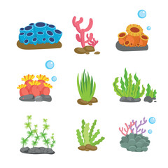coral vector collection design