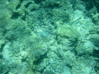 Underwater photography