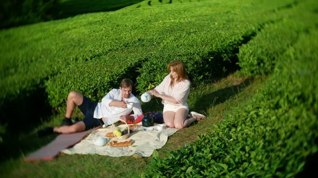 A family picnic in a clearing among a tea plantation. concept of travel, recreation. life style. 4k.