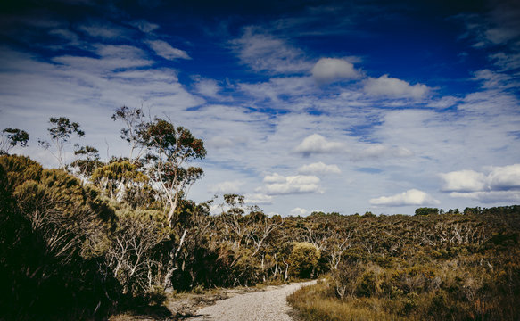 The outback with dramatic Sky, Blue Mountains, NSW, Australia
