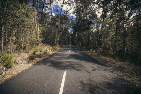 Megalong Valley, Vanishing point Road, Blue Montains, NSW, Australia