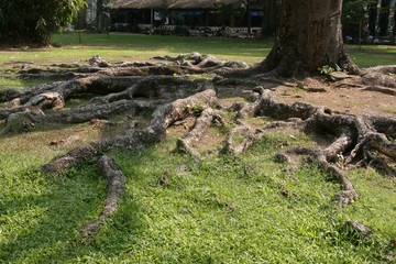 Reunification Palace, Vietnam