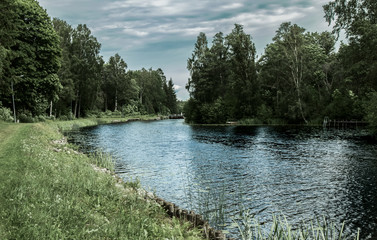 Fluß im Wald
