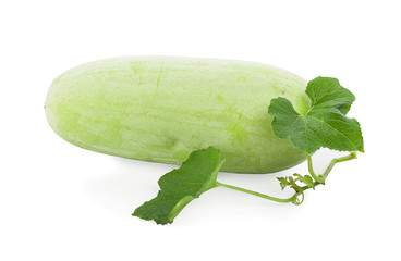 Winter melon fruit with leaf and flower isolated on white background