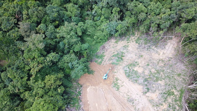 Deforestation. Aerial photo destruction of Borneo rainforest  